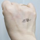 ?? 라곰 | 라곰 폼클렌저 지복합성 후기 [마이크로 / 피에이치 큐어]