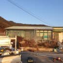 지에스피브이 네이버블로그