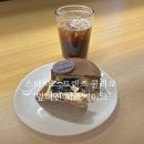 스카이덴탈대구지점 | 스타벅스 대구감삼빌리브스카이점 프렌즈 케이크 엎어진 치즈케이크 솔직후기