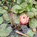 월명동 관광안내소 이미지