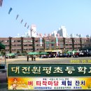 대전원평초교 이미지