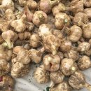 홍산농장 이미지