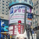 오늘의 댕댕 이미지