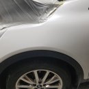 명품덴트칼라 이미지