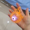 제니스병원 | 제니스병원,아들봉합 후기,봉합비용