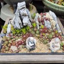 그림정원 이미지