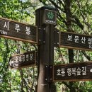 보문산 이미지