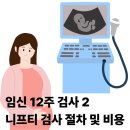 플러스과학 | 임신 12주차 검사 2: 니프티검사(더맘스캐닝 플러스 검사) 후기 및 절차, 비용, 과학적 원리 정리