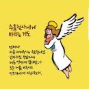 민들레세상 이미지