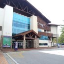 정선테마파크 이미지