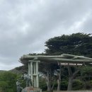 대원주유소 공중화장실 | 호주 워홀 #17 | 크리스마스 주간의 멜버른 (2) - 비바람이 몰아치는 그레이트 오션로드 투어