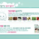 순에코