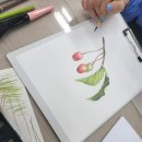 색연필 식물 세밀화 이미지