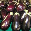 건강한 제철요리 이미지