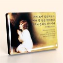 C2005 쇼핑하우