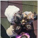 미래몬테소리어린이집 네이버블로그