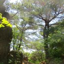 삼보프라텍(주)노동조합 | 170501 늪재봉(통도사 산문 주차장-봉화봉-늪재봉-감림산-서운암-통도사-통도사 산문)