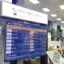 명품주유소 | 제주도 돌하루팡 [명품렌트카] 내돈내산 후기 및 주유환불팁