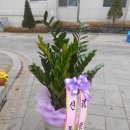 가위손헤어샾