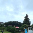 엉또김밥 이미지