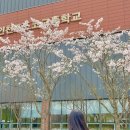 큐앤에이 이미지