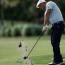 골프연습장 이미지