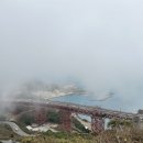 인앤아웃커스텀 | 샌프란시스코 근교 여행 추천🇺🇸마린시티·금문교 포토스팟·벙커포인트·뮤어 비치·인앤아웃 후기까지