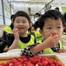 우암농장 이미지