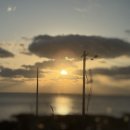 제이앤아이 | 제주 오션뷰 숙소 찾는다면? 누워서 바다 보는 가성비 펜션 ‘제이앤클로이’ 실후기