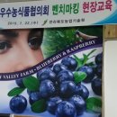 산야초영농조합 이미지