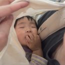 투마트24시 | 18개월 아기랑 다낭여행 (1) 여행준비&amp;티웨이 탑승후기