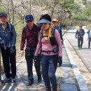 백제쉼터 이미지