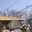 화개송이민박 | 하동 화개장터 벚꽃 그리고 송이버섯