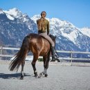 성운대학교 이미지