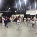 용인대 마북 태권도 이미지