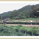 여울목민박 이미지