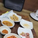 한우군돈순이 이미지