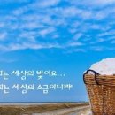 거룩성 타락과 한국 교회의 각성 이미지