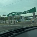 포항운전 면허시험장 | [쿠알라룸푸르 여행 준비] 03. 포항 운전면허시험장 국제운전면허증 발급 후기