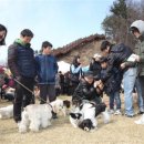 문수양궁장(주말) 이미지