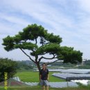 해병농원 이미지