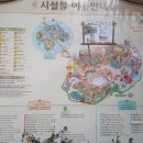 드림보트뮤직 이미지