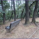 서리풀길 20 이미지