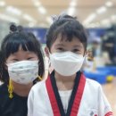 VIP 태권도장 이미지