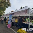 포항시남구30 이미지