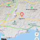 왕붕어분식