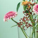 명목보건진료소 이미지