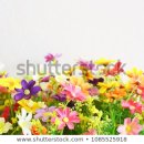 비젼21행정사 이미지