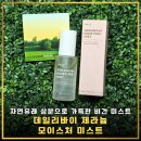 미스트 추천 | 속건조 잡는 데일리바이 제라늄모이스처미스트 고보습 비건화장품 화잘먹템 후기