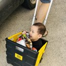 스테이 타크 | 포항장기면펜션 스테이타크, 스칸디 무드와 오션뷰가 만난 숙소 후기